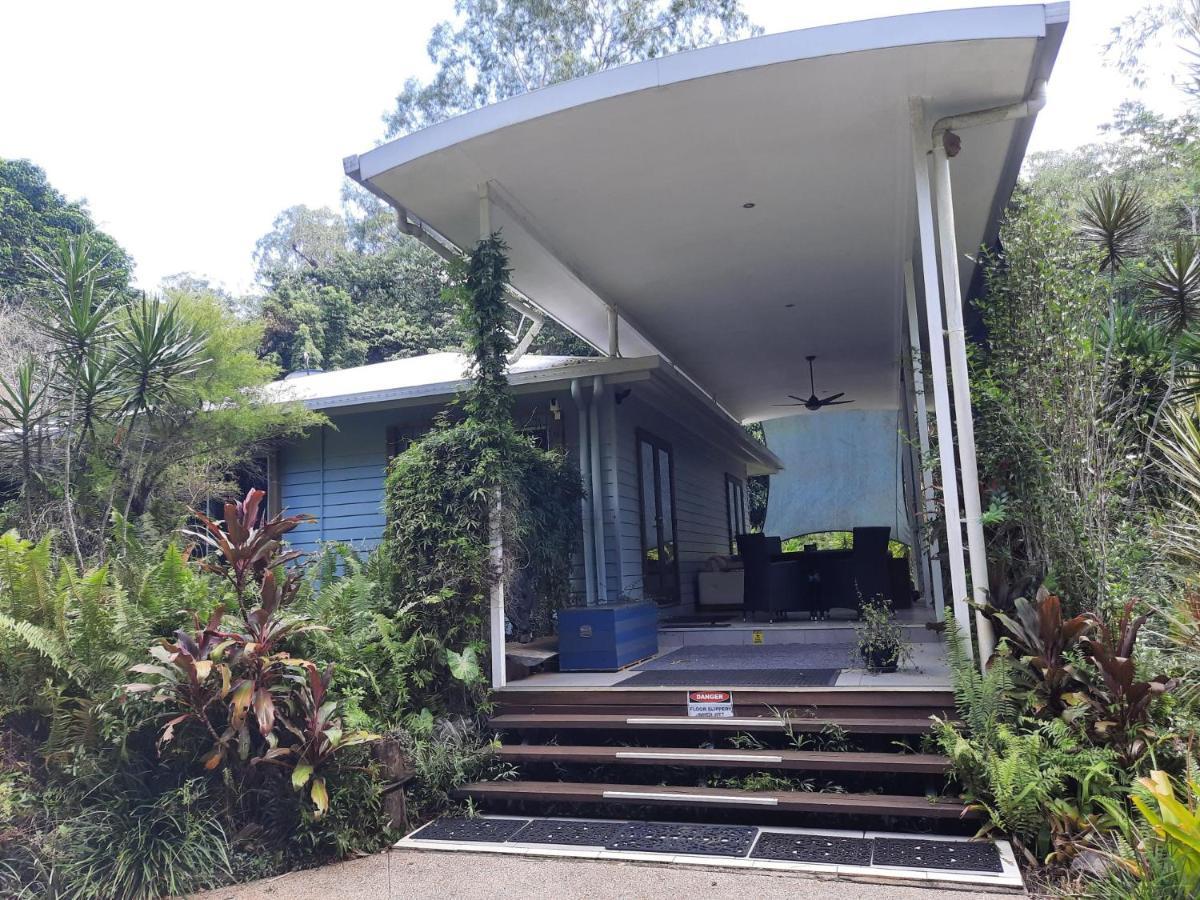 Daintree Rainforest Accommodation Cow Bay Екстер'єр фото
