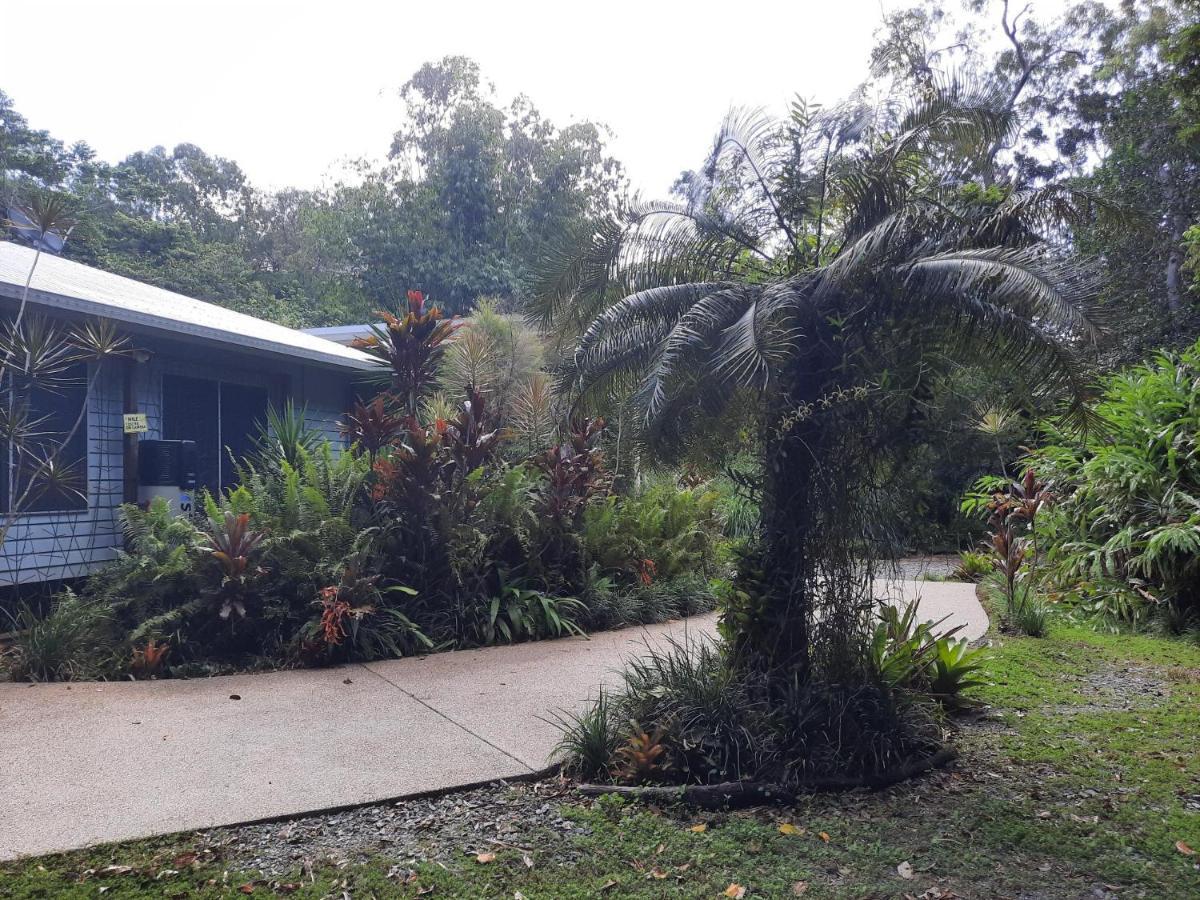 Daintree Rainforest Accommodation Cow Bay Екстер'єр фото